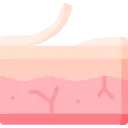 Promotes Cellular Detox